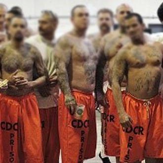 Prison Gangs