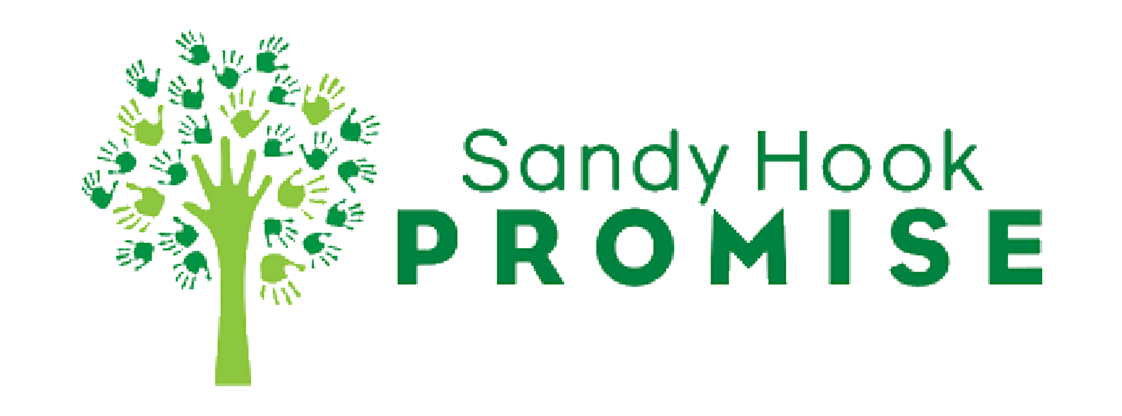 Visit the Sandy Hook Promise Website